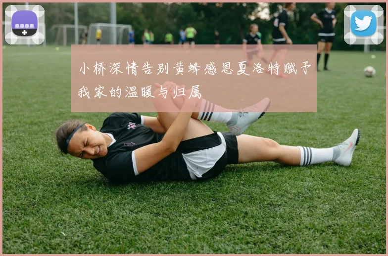 小桥深情告别黄蜂感恩夏洛特赋予我家的温暖与归属