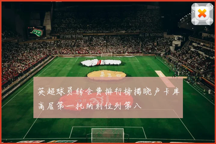 英超球员转会费排行榜揭晓卢卡库高居第一托纳利位列第八