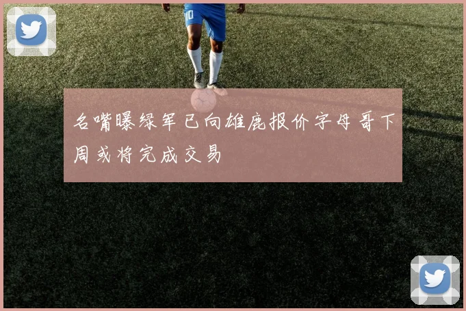 名嘴曝绿军已向雄鹿报价字母哥下周或将完成交易